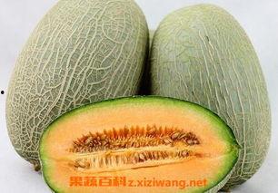 吃哈密瓜超香怎么办呢视频,如何优雅应对超香挑战？