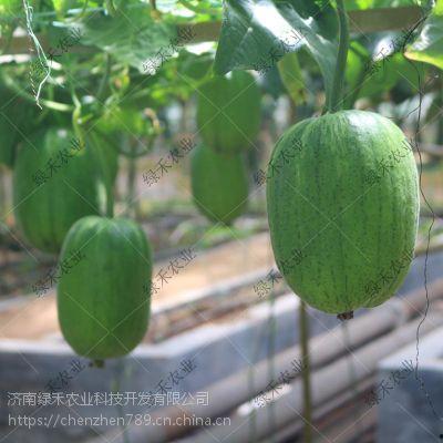 吃瓜短视频在线吃瓜