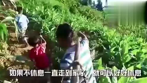 成都花园吃瓜事件视频完整版,一场引发热议的社区冲突全纪录