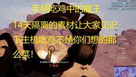 东北小呆瓜吃鸡直播视频,趣味横生，欢乐无限