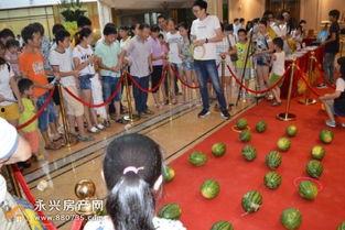 吃瓜群众看看热闹视频,揭秘网络狂欢背后的真相