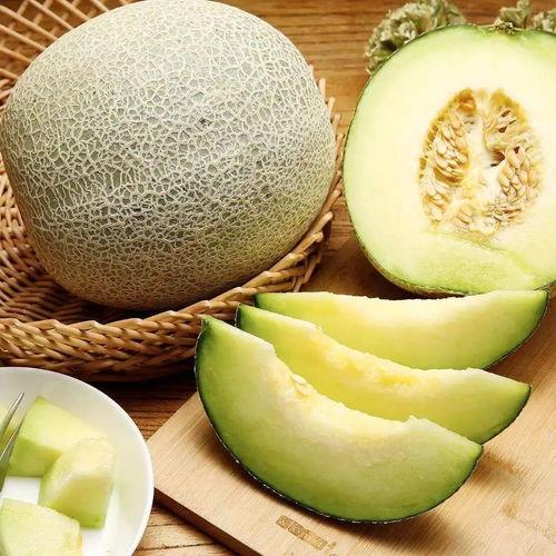 吃牛角蜜瓜视频大全集下载,甜蜜滋味一网打尽