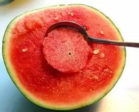 儿时吃的马泡瓜视频素材