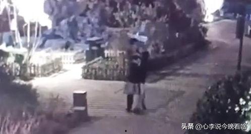 海上吃瓜视频完整版